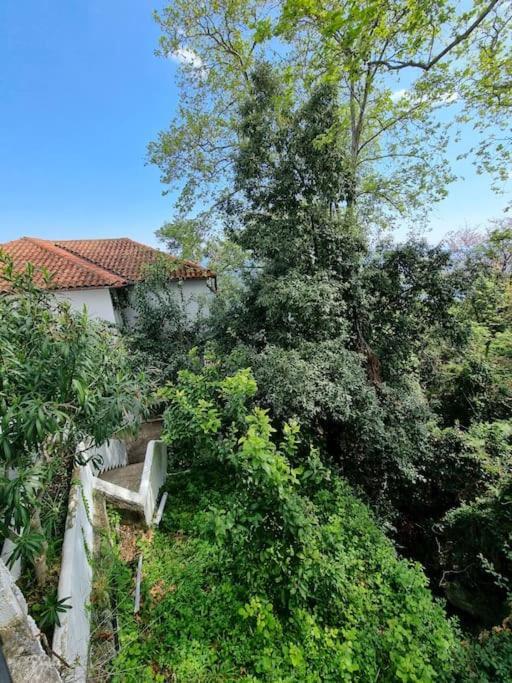Kapsala'S Family Home Agios Ioannis  Exterior photo